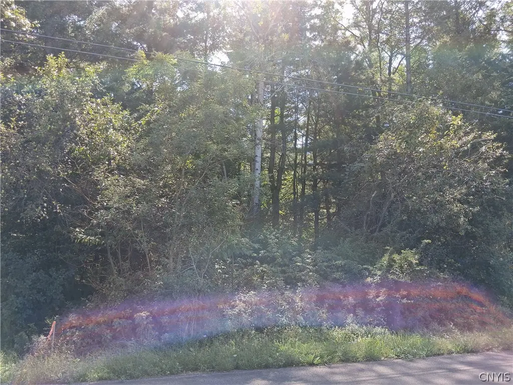 Photo of Listing #S1712234