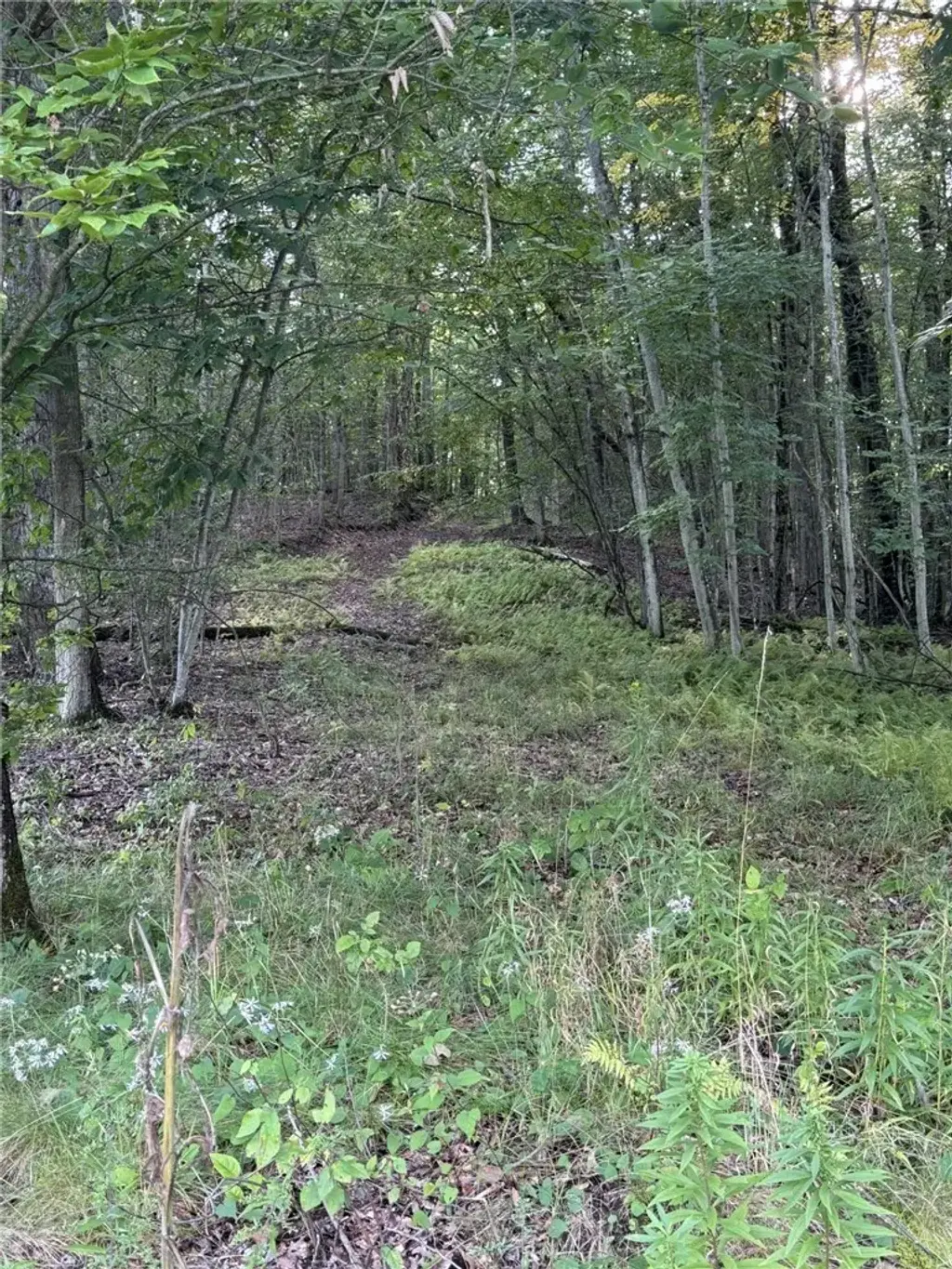 Rt. 346, Otto Twp