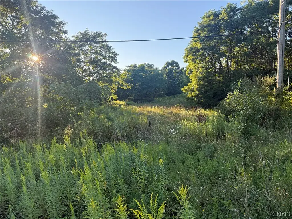 6289 Cavanaugh Road, Marcy