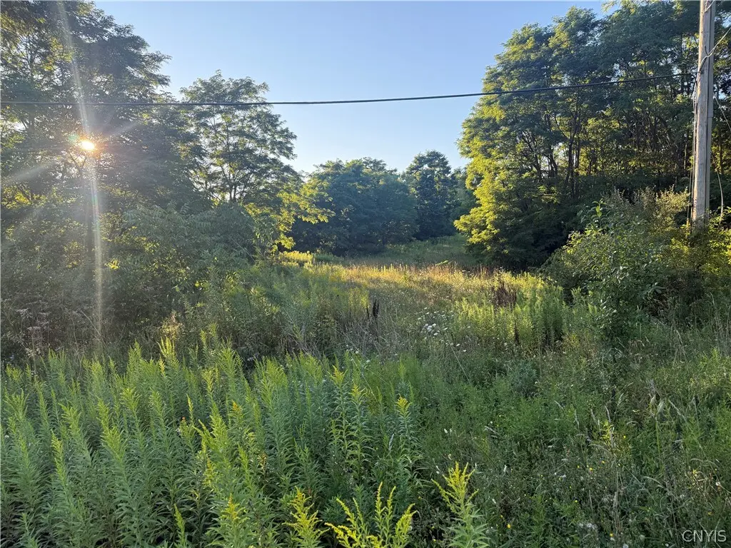 Photo of Listing #S1708192