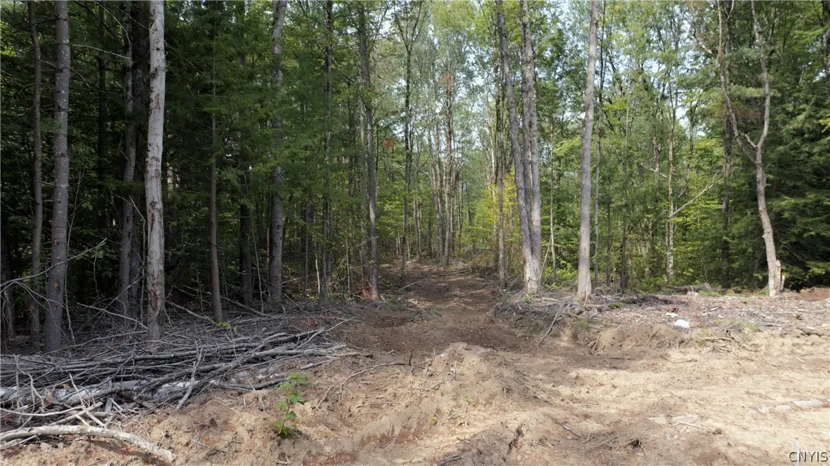 Photo of Listing #S1710520