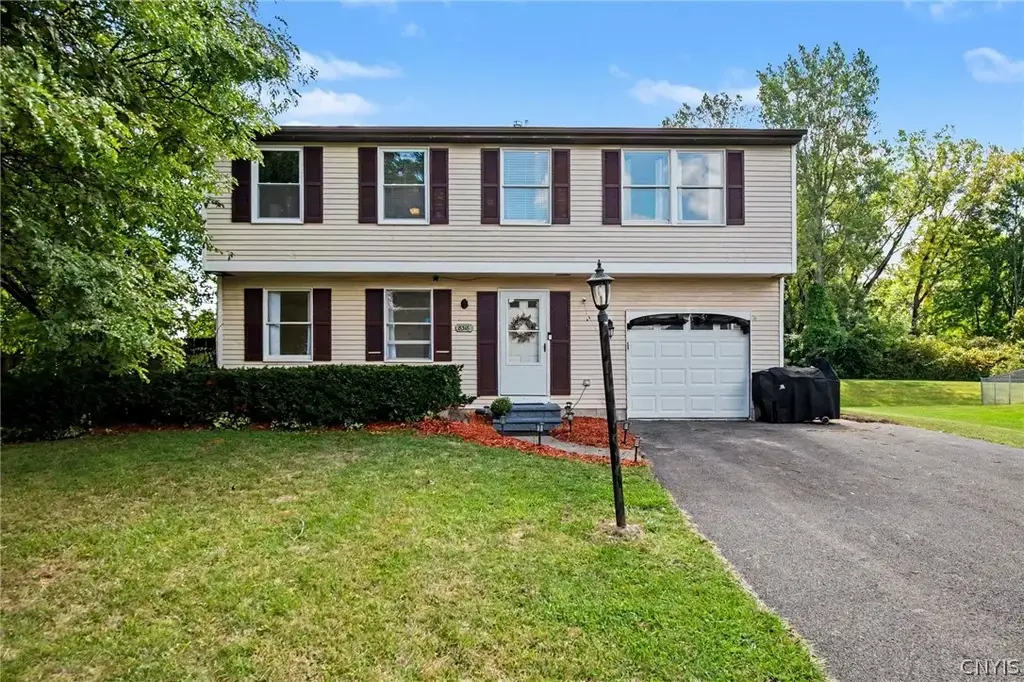 8316 Spicebush, Clay