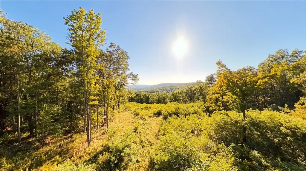 Lot 5 Prospect Ridge, Big Flats