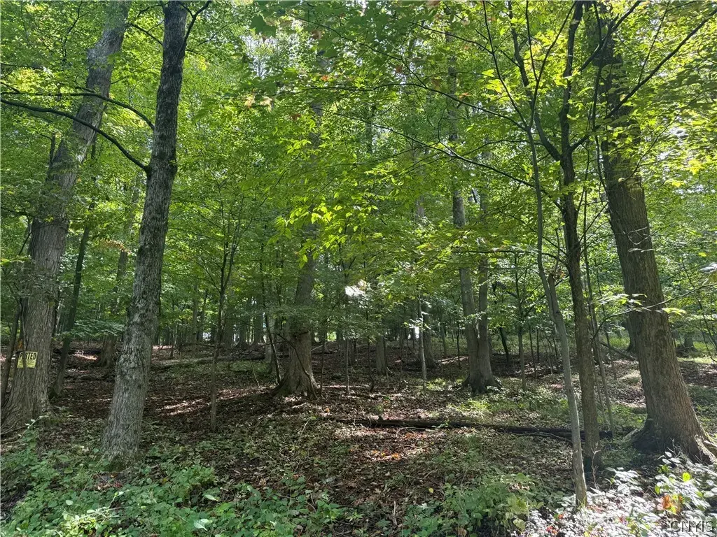 4 Nob Road, Utica