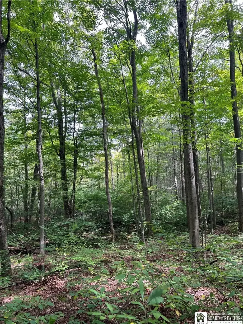 8393 Kelly Hill Road, Pomfret