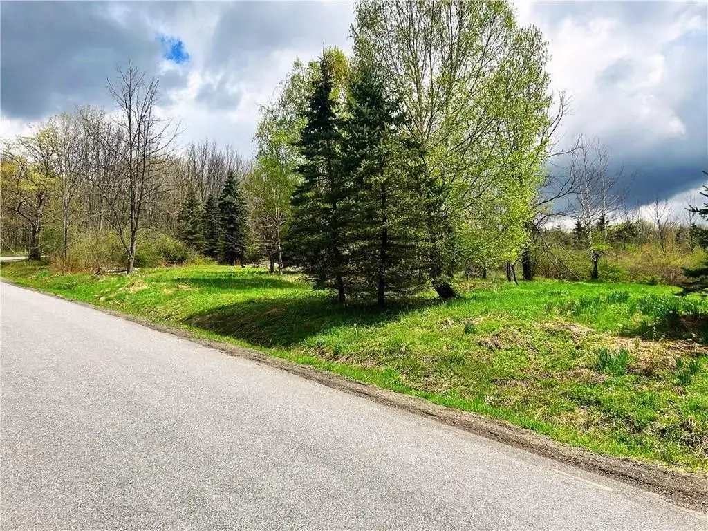 Sisson Hill Road, Unadilla