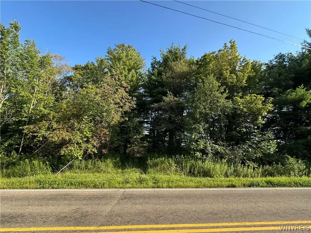 V/l Genesee Road, North Collins