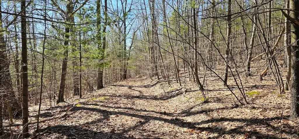 S Hill Road, Van Etten