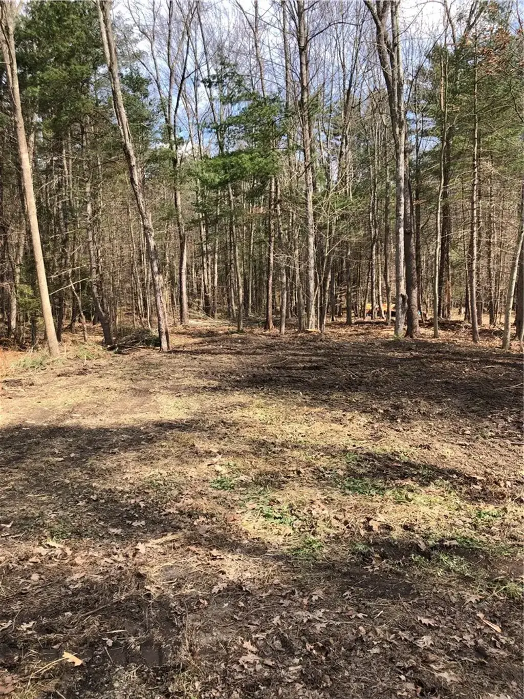 Maple Drive, Milford