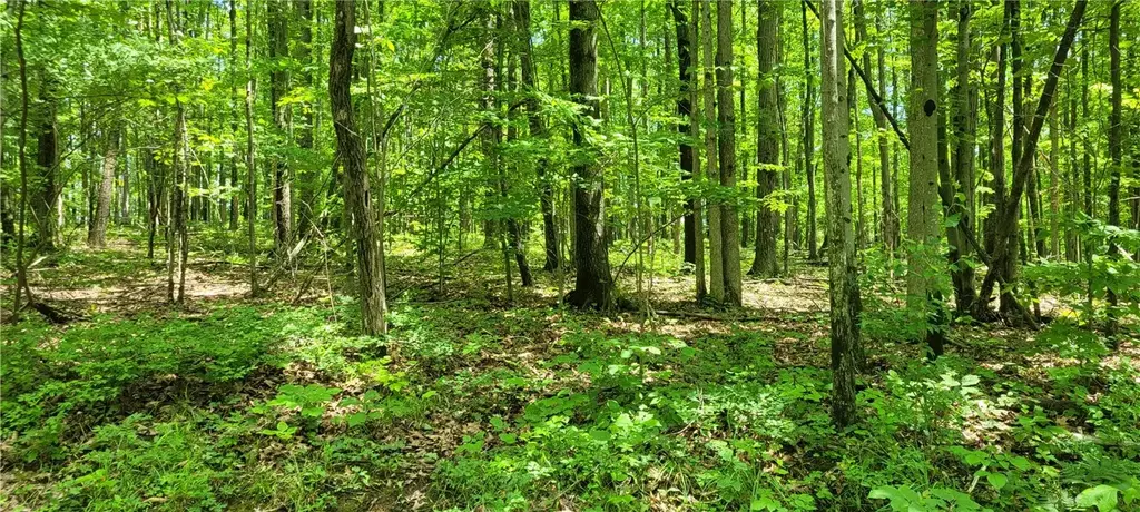 Hagerman Road, Chemung