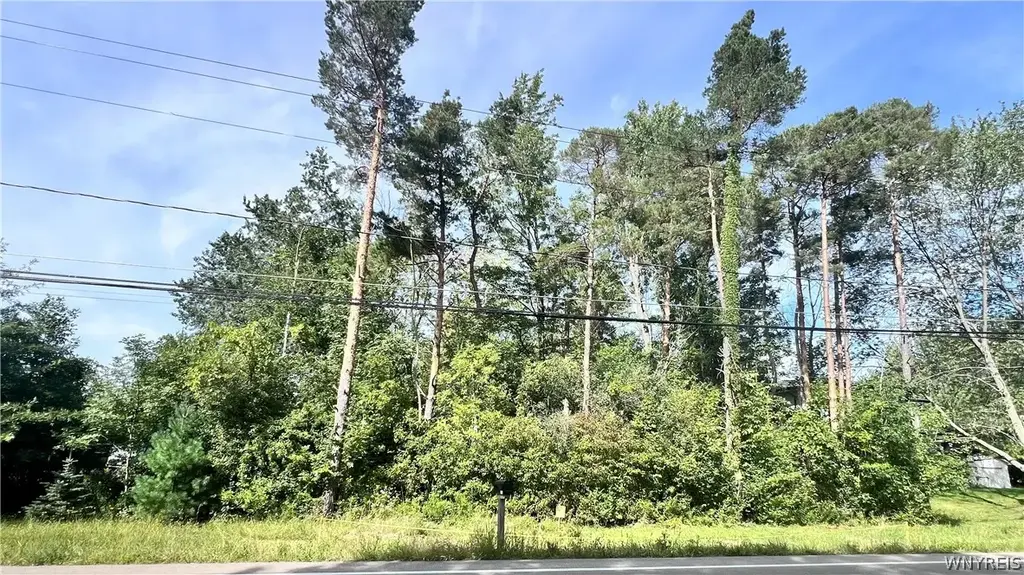 Newton Road, Hamburg
