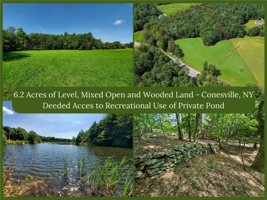 Lot 10 Bull Hill Road, Conesville