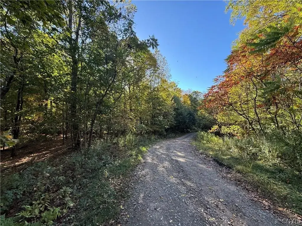 Steelhead Lane, Williamstown