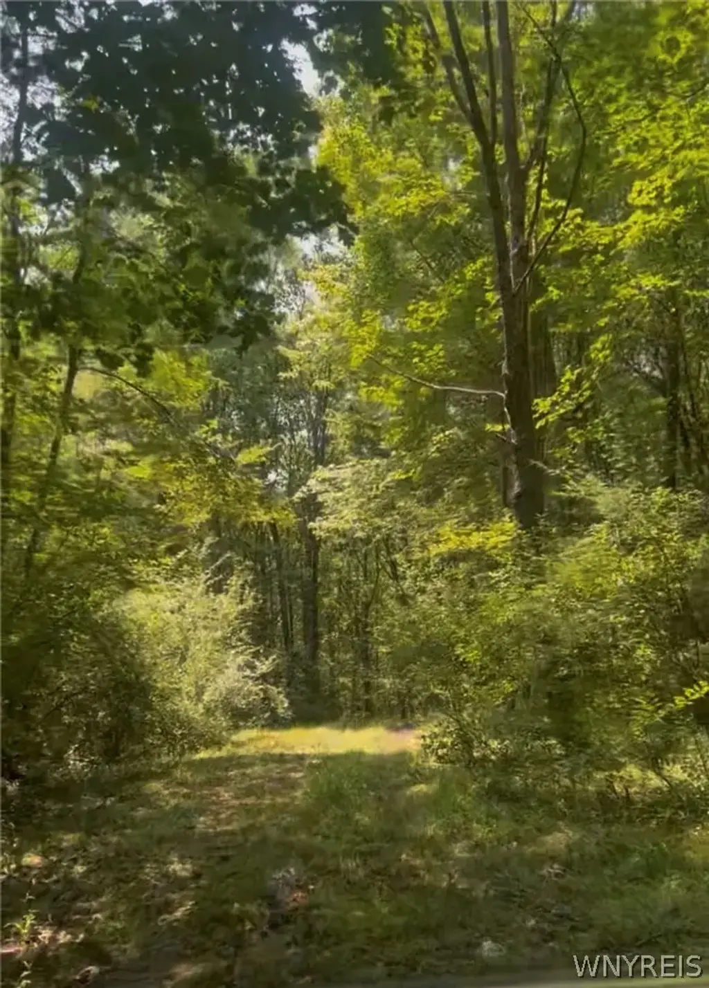 Longcore Road, Amity