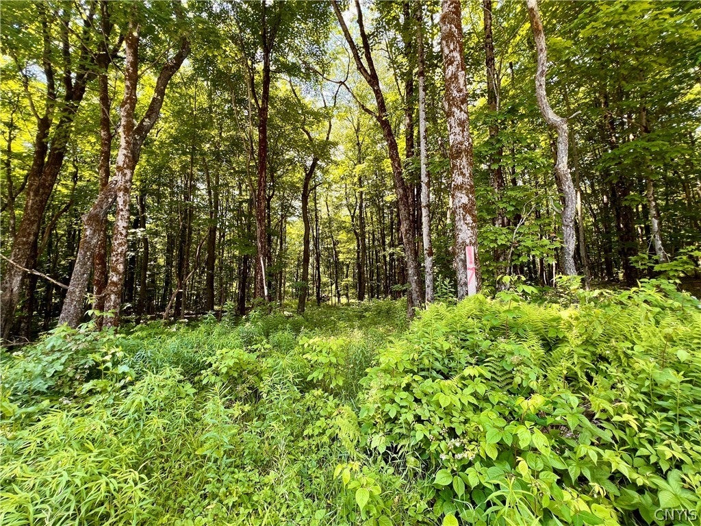 Photo of Listing #S1545136