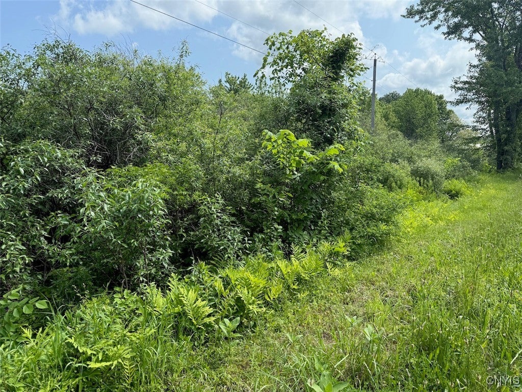 Photo of Listing #S1576907