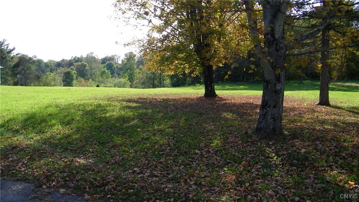 Photo of Listing #S1594265