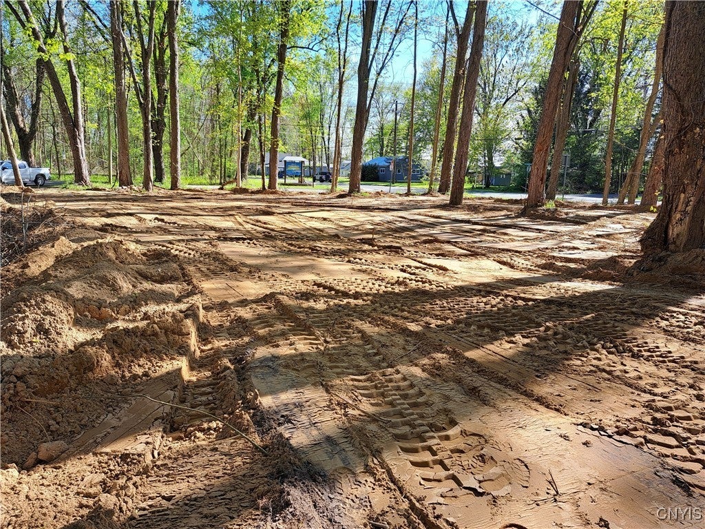 Photo of Listing #S1597599