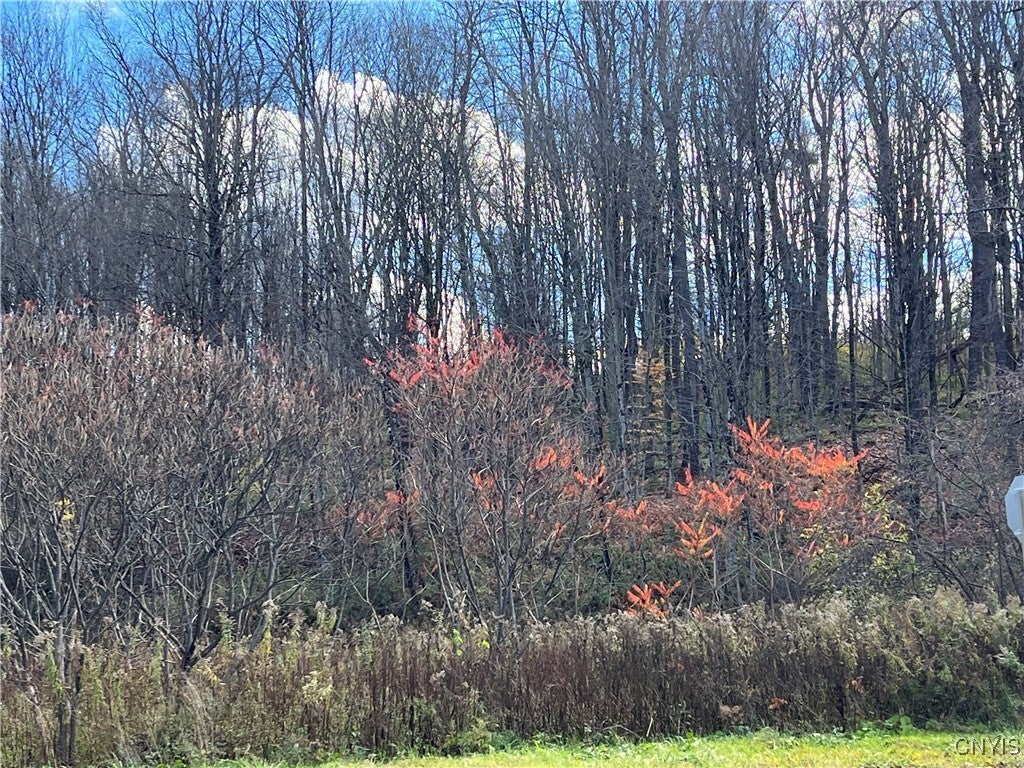 Photo of Listing #S1601346