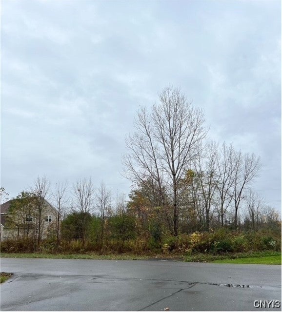 Photo of Listing #S1602332