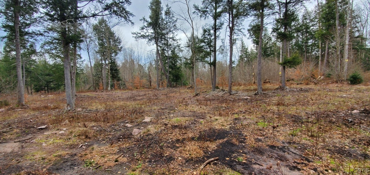 Photo of Listing #S1602880