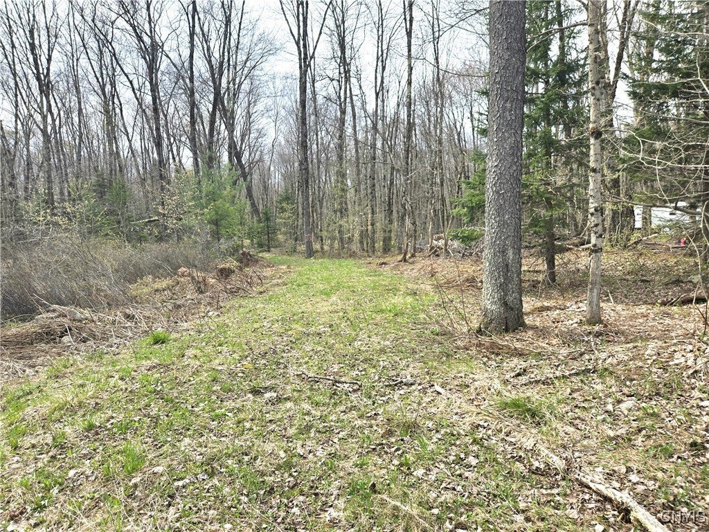 Photo of Listing #S1603861