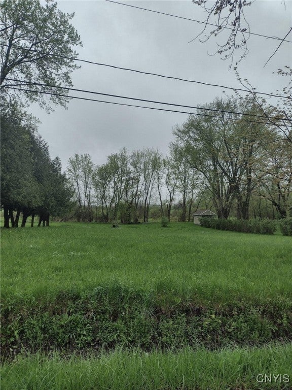 Photo of Listing #S1605093