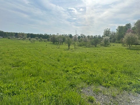 Photo of Listing #S1608540