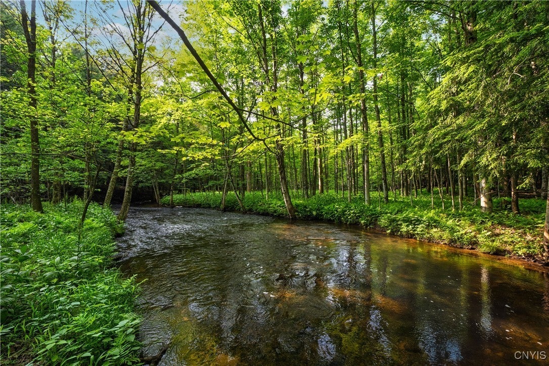 Photo of Listing #S1611808