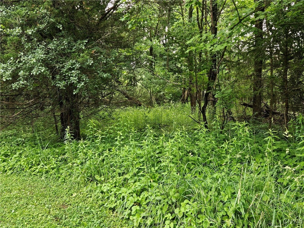 Photo of Listing #S1617000