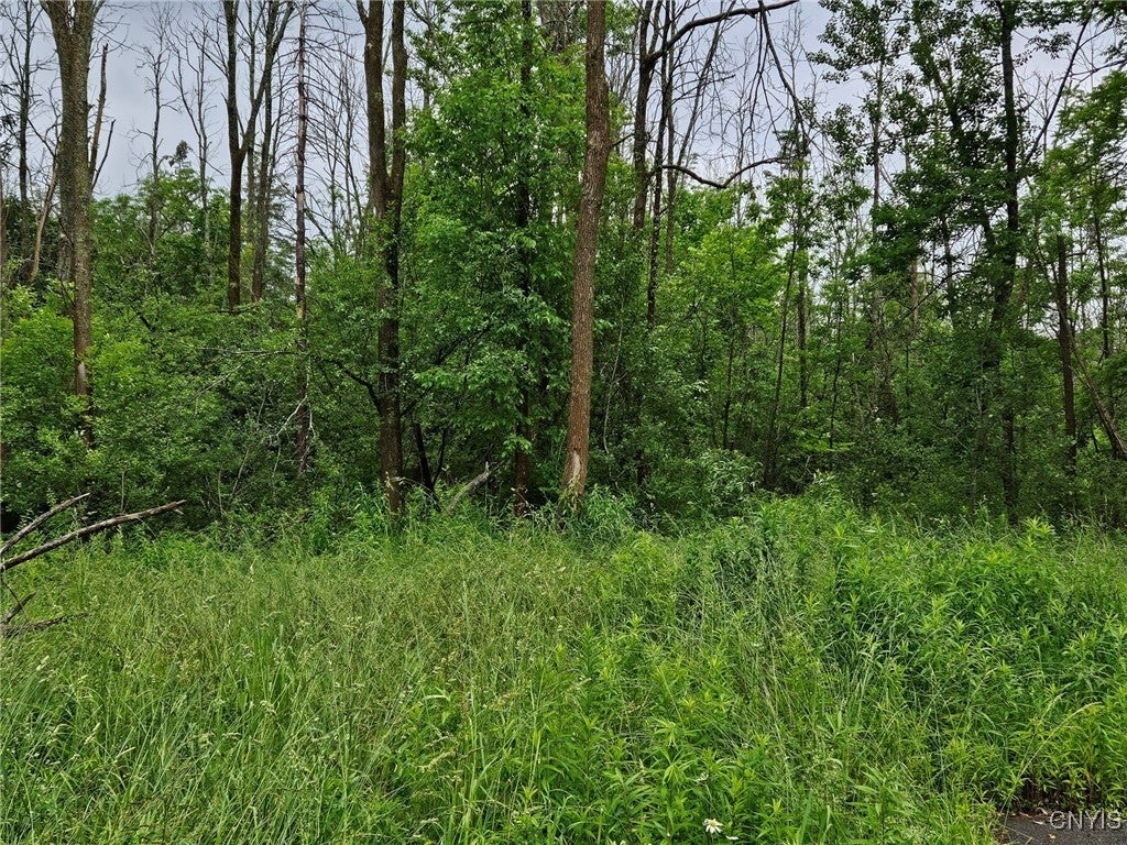 Photo of Listing #S1617006