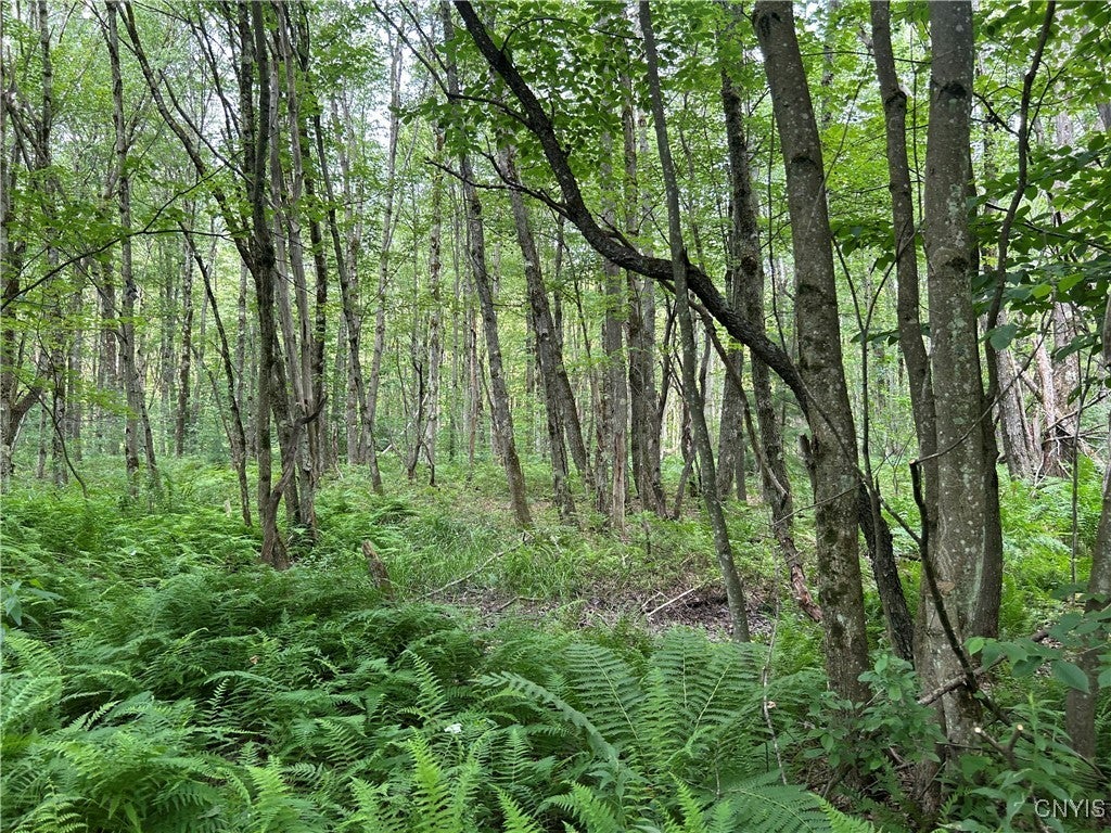 Photo of Listing #S1622093