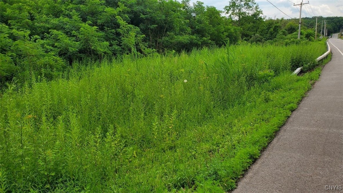 Photo of Listing #S1623386