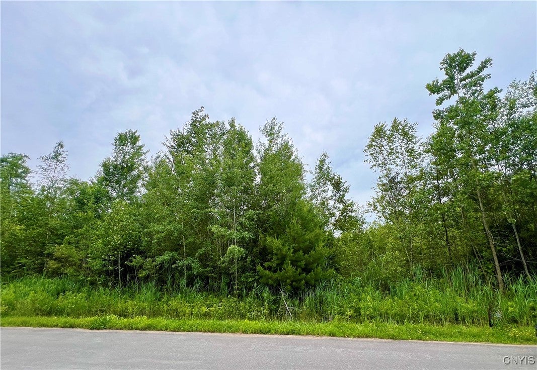 Photo of Listing #S1627706