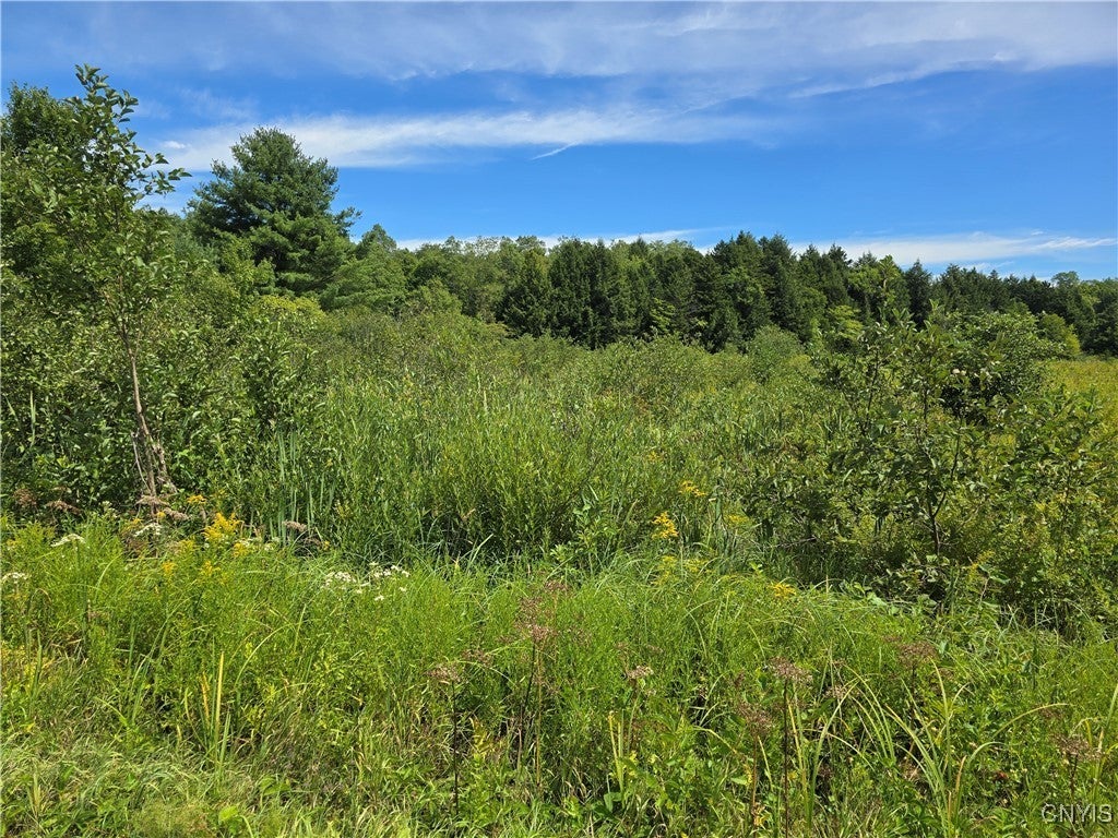 Photo of Listing #S1631392