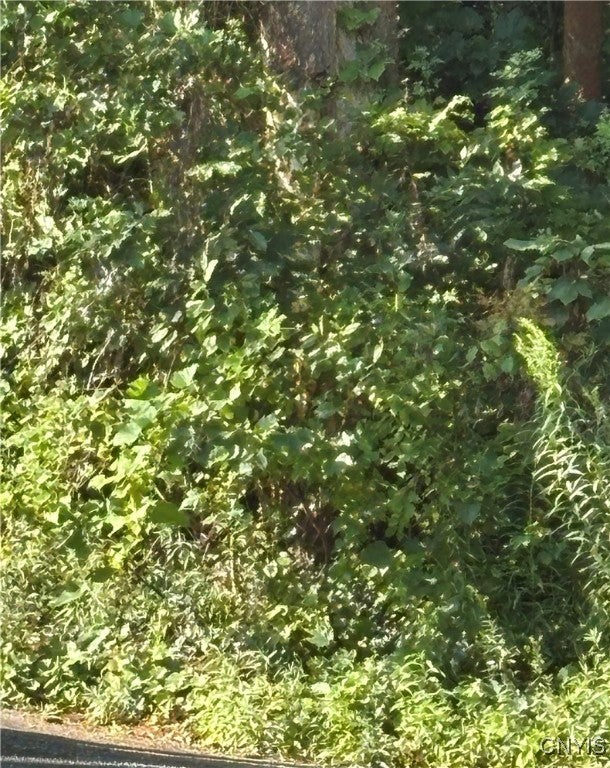 Pellet Road, Hannibal