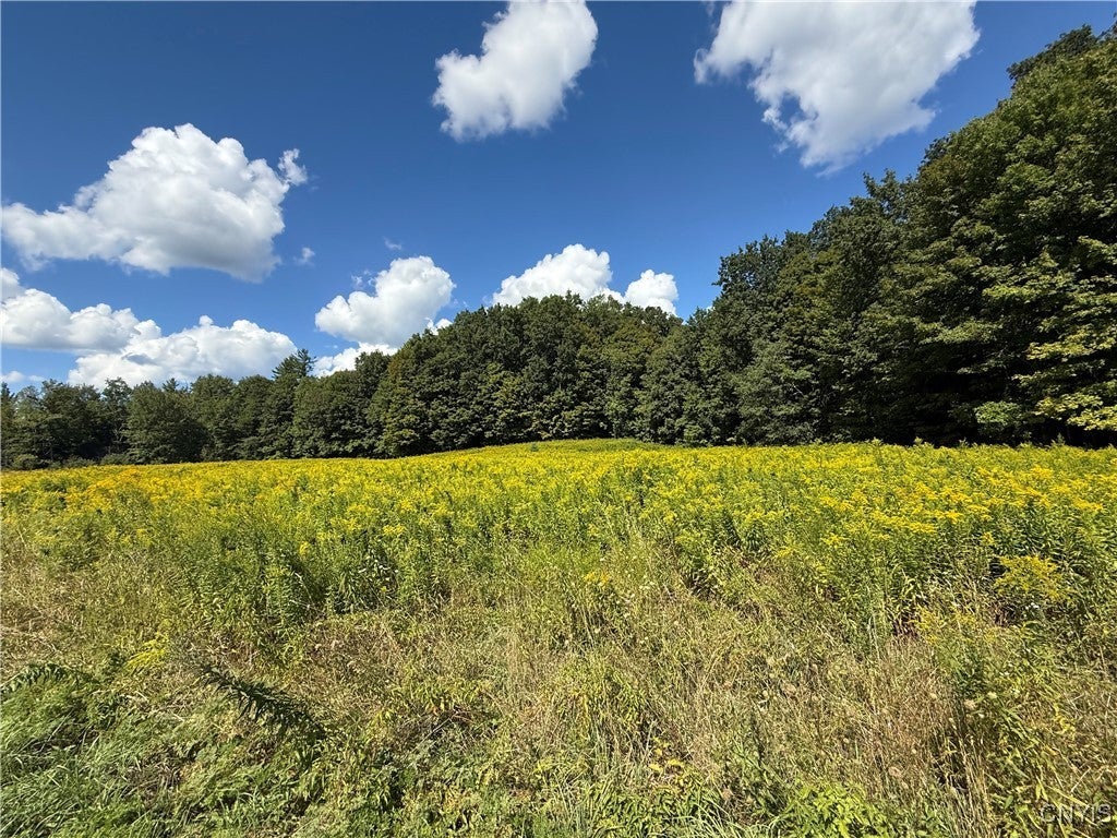 Photo of Listing #S1632950