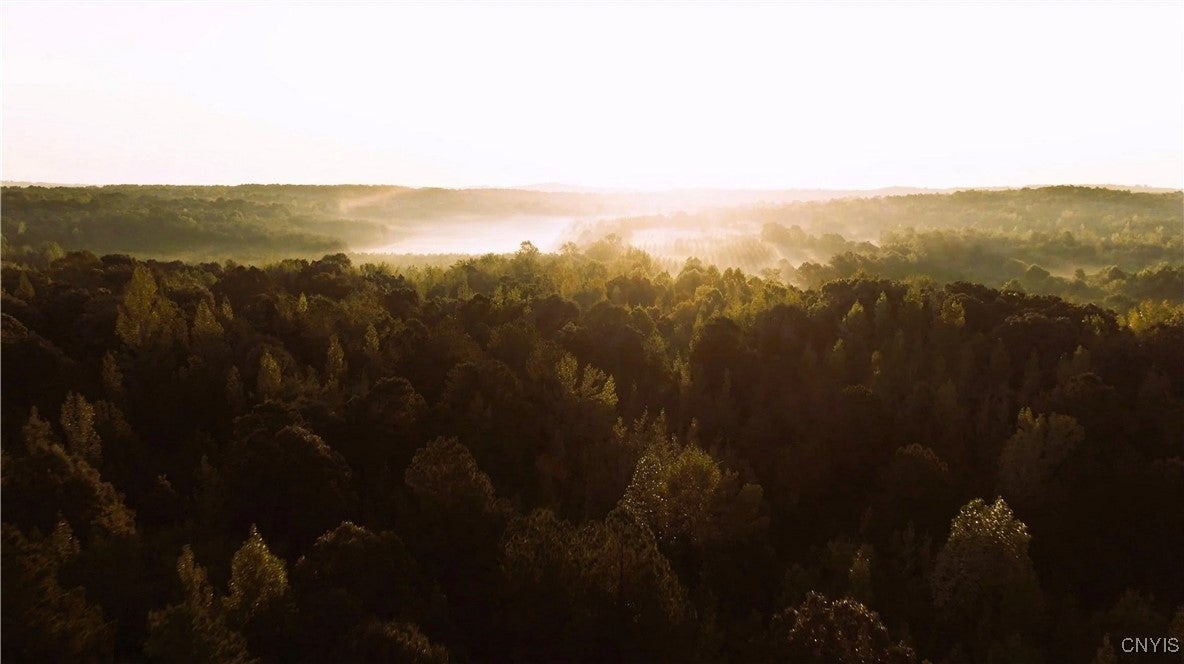 Photo of Listing #S1643608