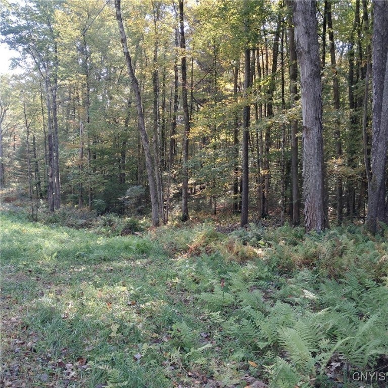 Photo of Listing #S1643550