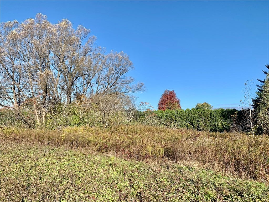 Photo of Listing #S1646243