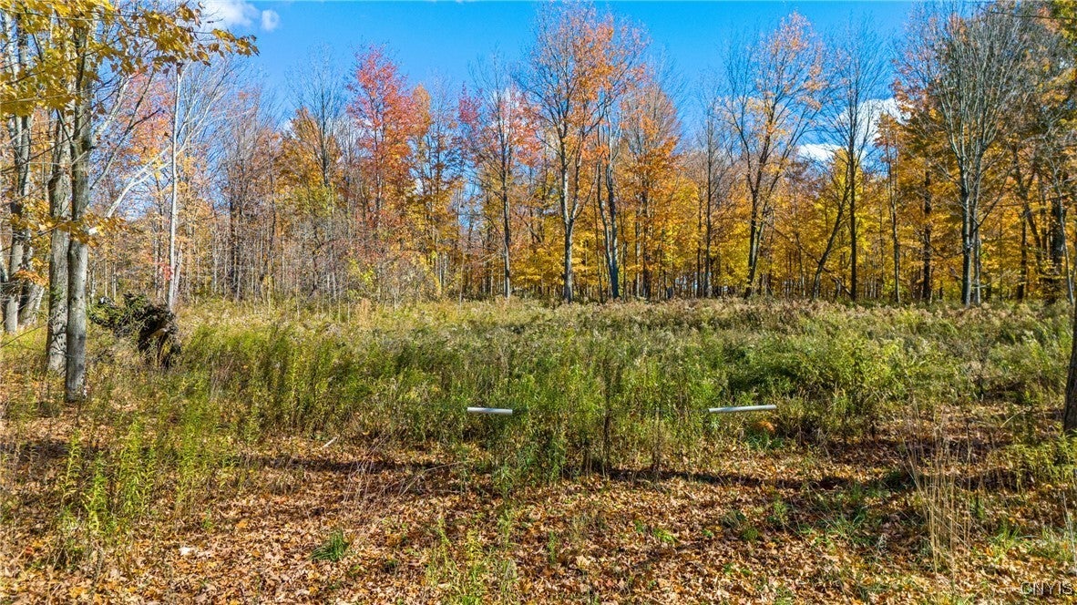 Photo of Listing #S1647202