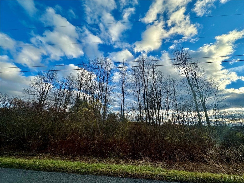 Photo of Listing #S1649685