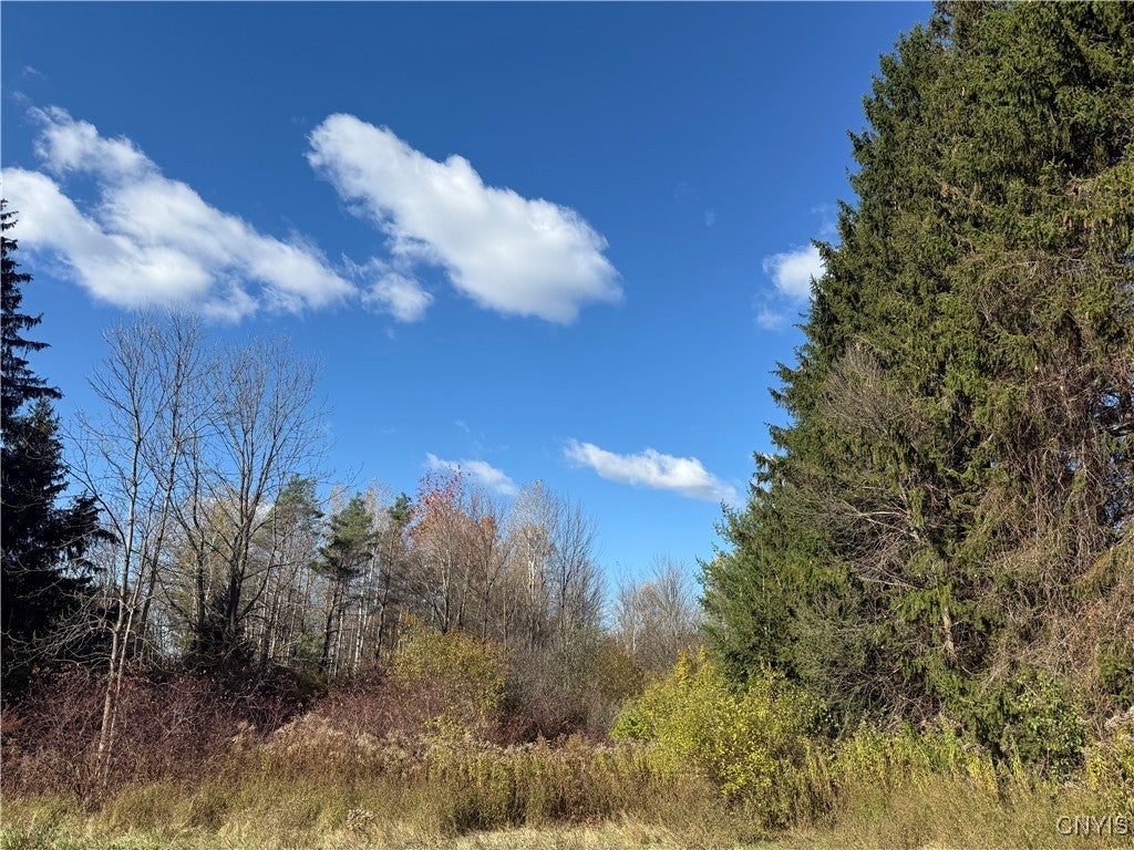 Photo of Listing #S1650022