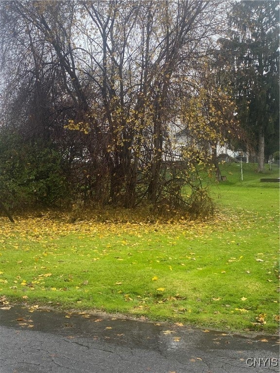 Photo of Listing #S1650265