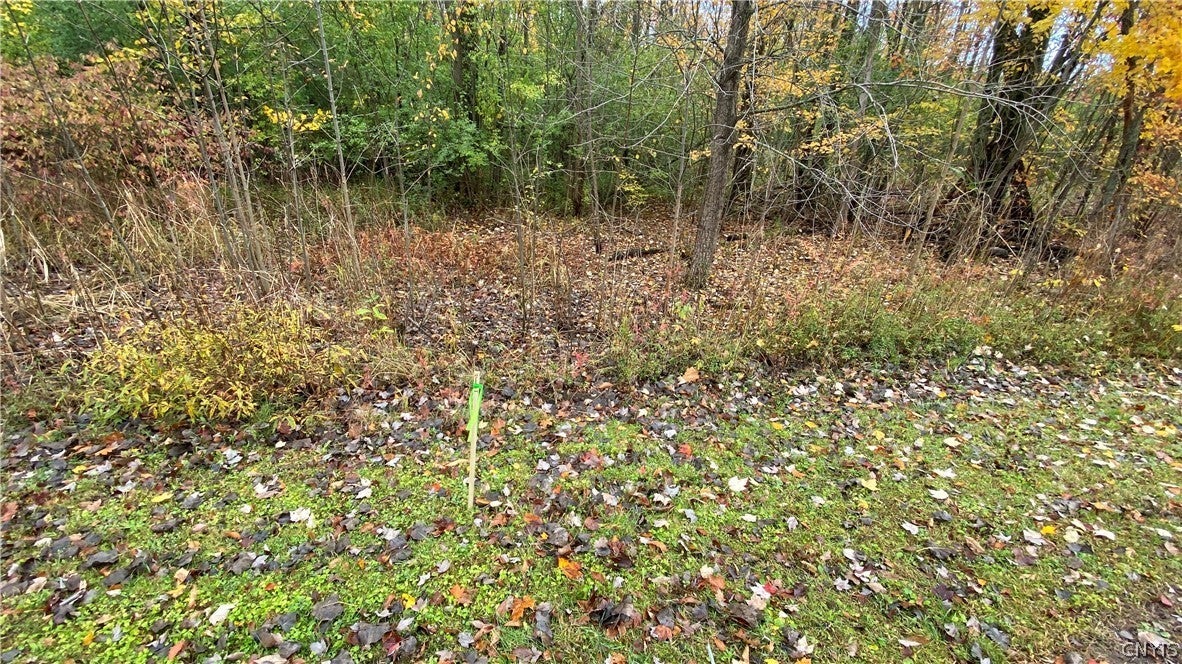 Photo of Listing #S1314038