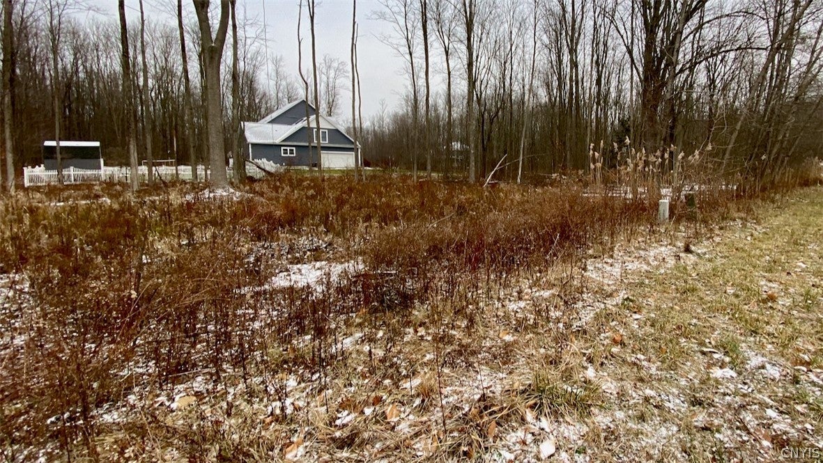 Photo of Listing #S1314023