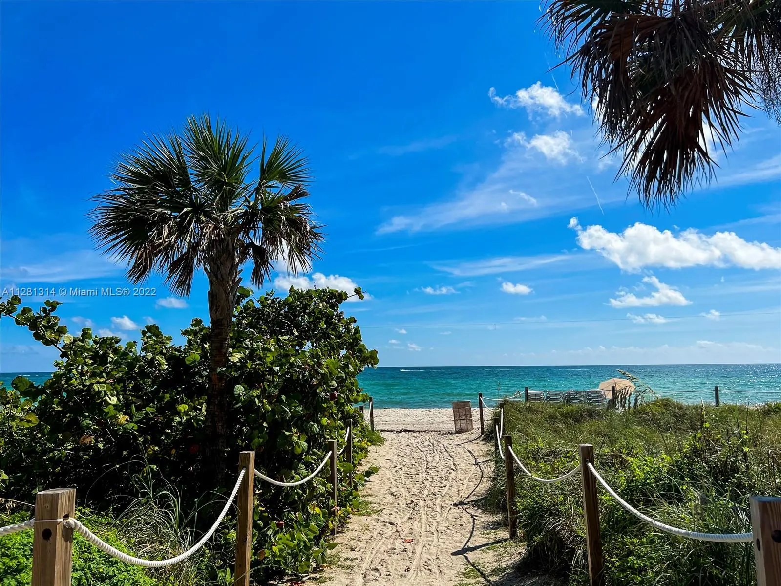 Photo of Listing #A11281314