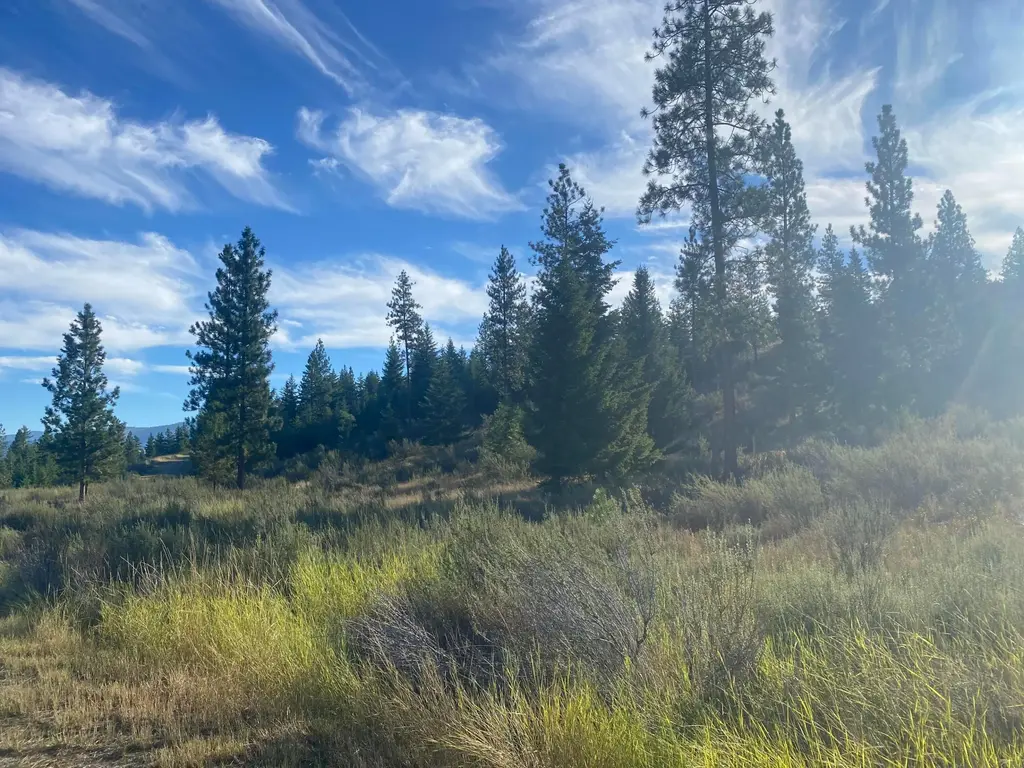 Lot 14 Bighorn, Plains