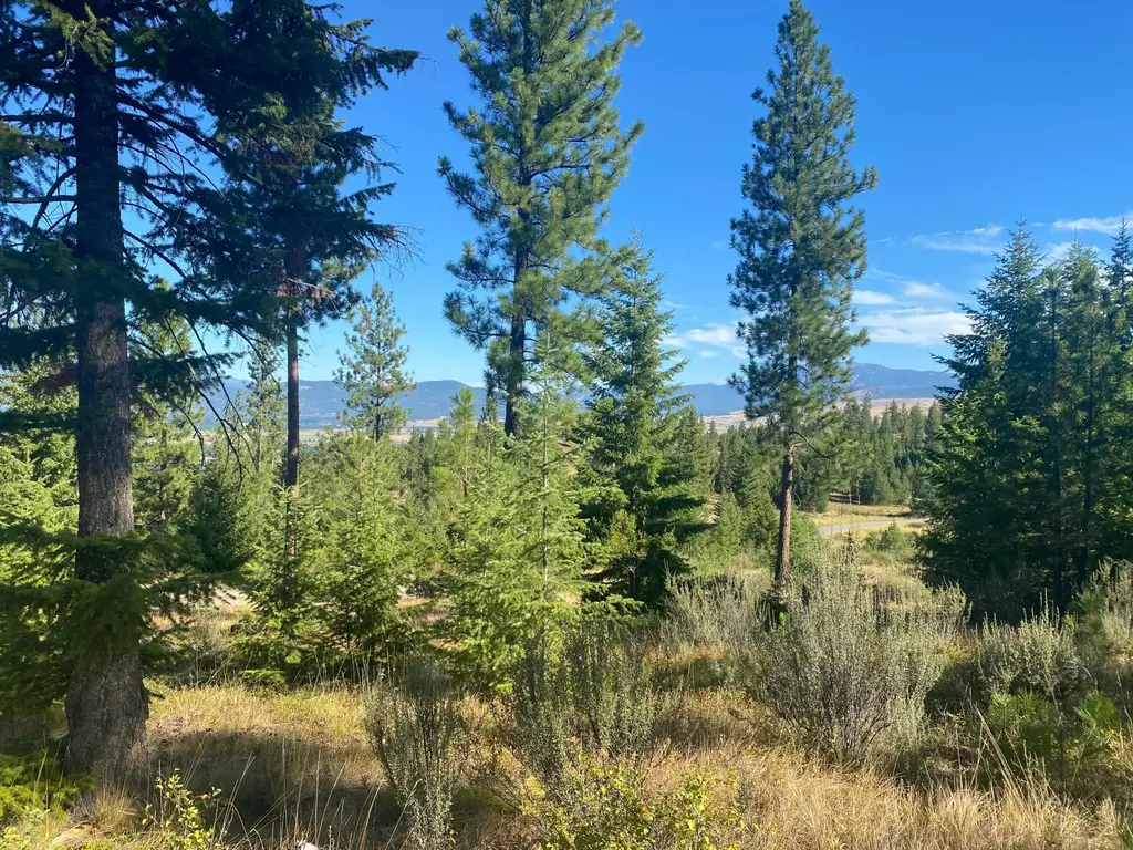 Lot 27 Bighorn Bluff, Plains