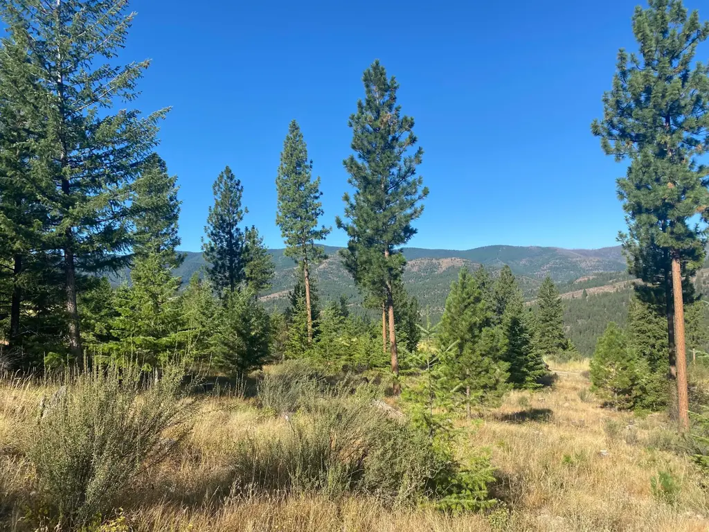 Lot 40 Bighorn Bluff Loop, Plains